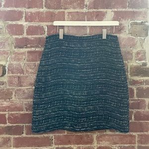 Ann Taylor Knit Skirt